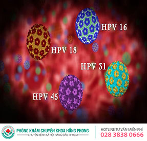 Virus HPV sinh dục là gì? Tìm hiểu thêm về virus HPV